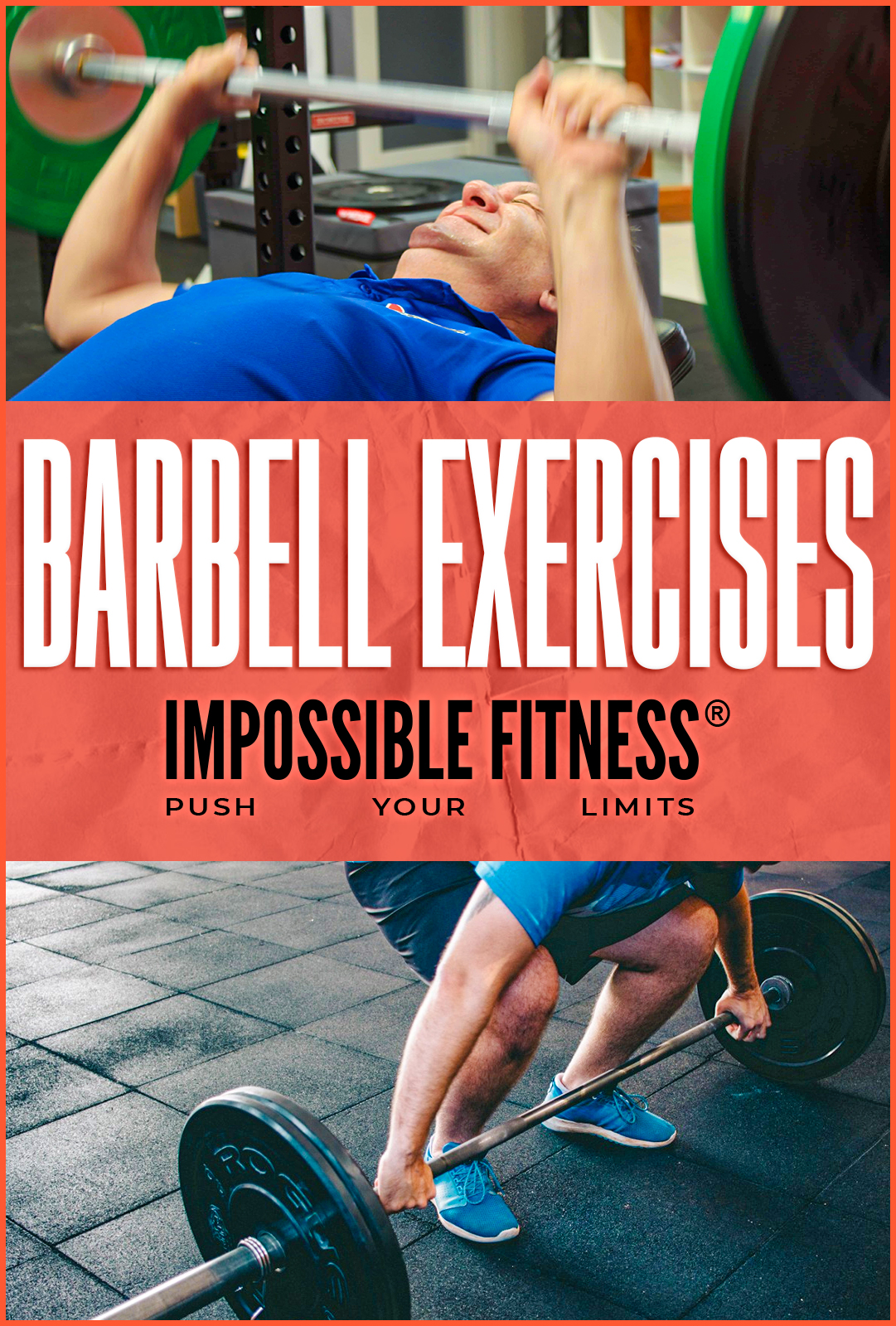 barbell exercises