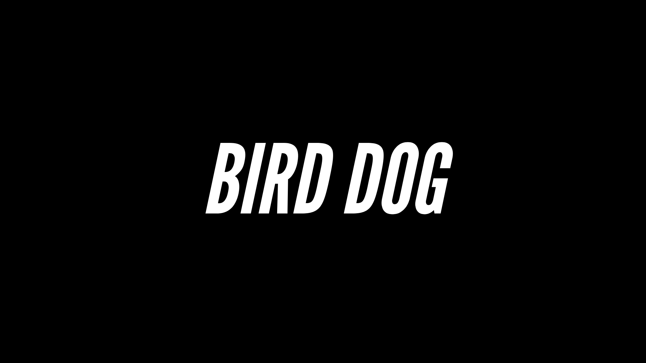Bird Dog