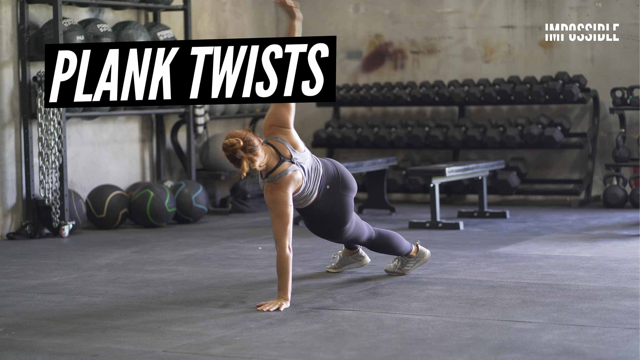 Plank Twists