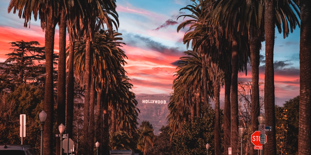 Los Angeles palm trees